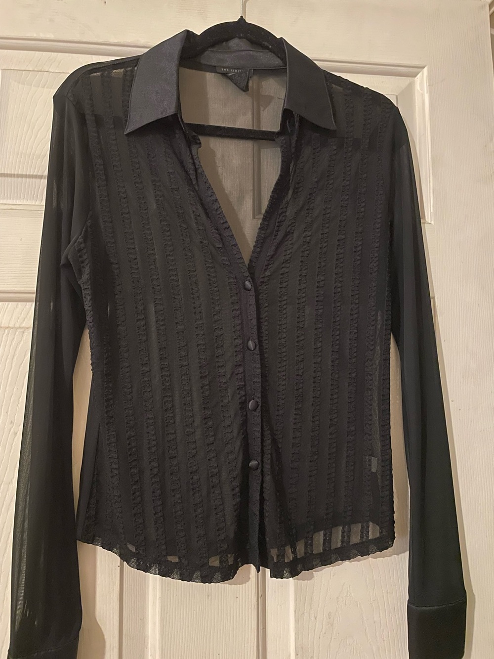 Vintage The Limited Sheer Mesh Crinkle Satin Trim Button Down Blouse Medium Blac